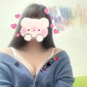 ヒメ日記 2025/06/05 02:18 投稿 ハク マドンナ(仙台)