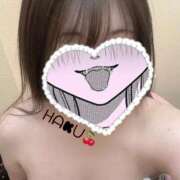 ヒメ日記 2025/06/07 11:42 投稿 ハク マドンナ(仙台)