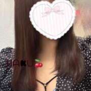 ヒメ日記 2025/06/13 01:03 投稿 ハク マドンナ(仙台)