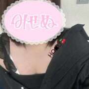 ヒメ日記 2025/06/13 08:49 投稿 ハク マドンナ(仙台)