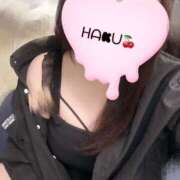 ヒメ日記 2025/06/17 08:34 投稿 ハク マドンナ(仙台)