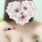 ヒメ日記 2025/06/29 12:48 投稿 ハク マドンナ(仙台)