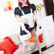 ヒメ日記 2025/08/09 10:27 投稿 ハク マドンナ(仙台)