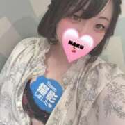 ヒメ日記 2025/09/05 10:12 投稿 ハク マドンナ(仙台)