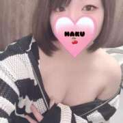 ヒメ日記 2025/09/08 19:09 投稿 ハク マドンナ(仙台)