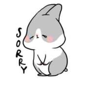 ヒメ日記 2025/10/28 18:04 投稿 ハク マドンナ(仙台)