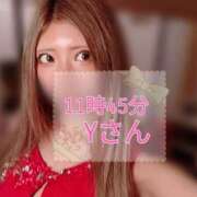 ヒメ日記 2025/04/24 21:46 投稿 ゆの 東京妻next (京都グループ)