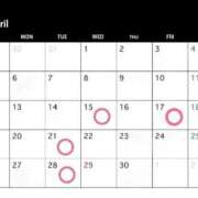 ゆの 💋4月出勤可能日程💋 東京妻next