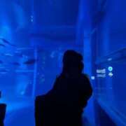 ヒメ日記 2025/07/19 12:14 投稿 あおば パリス雄琴店