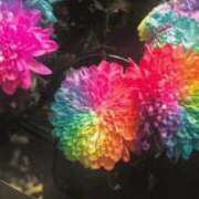 ヒメ日記 2025/08/19 11:05 投稿 氷室　かすみ プルプル京都性感エステ　はんなり