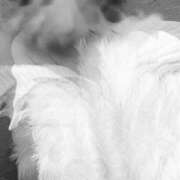 ヒメ日記 2025/11/14 12:15 投稿 氷室　かすみ プルプル京都性感エステ　はんなり