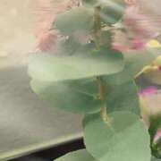 ヒメ日記 2025/11/15 12:15 投稿 氷室　かすみ プルプル京都性感エステ　はんなり