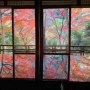 ヒメ日記 2025/11/27 18:02 投稿 氷室　かすみ プルプル京都性感エステ　はんなり