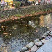 ヒメ日記 2025/12/01 19:01 投稿 氷室　かすみ プルプル京都性感エステ　はんなり