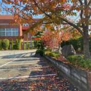 ヒメ日記 2025/12/08 12:15 投稿 氷室　かすみ プルプル京都性感エステ　はんなり