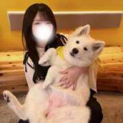 ヒメ日記 2025/04/29 10:44 投稿 【桜庭 ひより】 梅田ムチSpa女学院