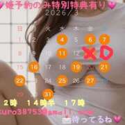 南風ひなつ 🕊️お知らせ🕊️ 鹿鳴館