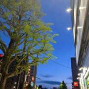 ヒメ日記 2025/05/05 19:12 投稿 あさひ【天真爛漫娘】 仙台大人の秘密倶楽部