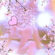 ヒメ日記 2025/08/16 19:55 投稿 清田ゆきえ こあくまな熟女たち 周南・徳山店（KOAKUMAグループ）