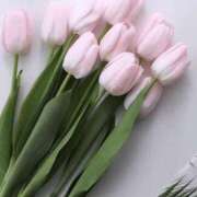 ヒメ日記 2026/04/05 15:41 投稿 りの 完熟ばなな八王子