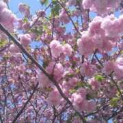 ヒメ日記 2026/04/13 05:24 投稿 りの 完熟ばなな八王子