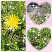 ヒメ日記 2026/04/22 06:45 投稿 りの 完熟ばなな八王子