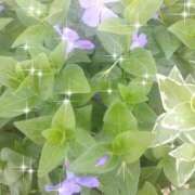 ヒメ日記 2026/04/28 05:19 投稿 りの 完熟ばなな八王子