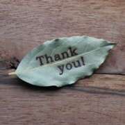 ヒメ日記 2025/12/29 22:45 投稿 せいら 和風パブ大江戸