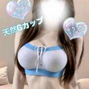 ヒメ日記 2025/04/27 13:01 投稿 あり メリハリ