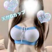 ヒメ日記 2025/08/14 14:00 投稿 あり メリハリ