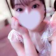 ヒメ日記 2025/07/20 08:32 投稿 モモ 1ROUND