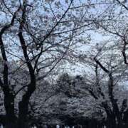 ヒメ日記 2025/04/13 00:36 投稿 みさ モアグループ熊谷人妻花壇