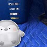 ヒメ日記 2026/08/04 12:43 投稿 うみ（うみ）当店史上最高レベル aroma ace.