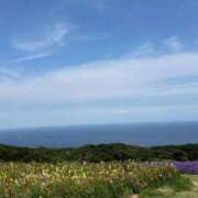 ヒメ日記 2025/11/22 20:20 投稿 えみり ごほうびSPA五反田店