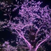 ヒメ日記 2025/04/13 00:13 投稿 りほ しろうと娘　本店