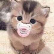 ヒメ日記 2025/08/03 00:33 投稿 りほ しろうと娘　本店