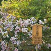 ヒメ日記 2026/06/12 20:12 投稿 りの 新宿ハンドメイド