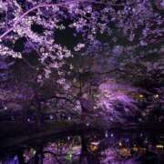 ヒメ日記 2026/04/04 11:53 投稿 みさと 奥鉄オクテツ大阪