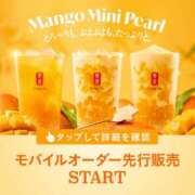 ヒメ日記 2026/04/06 09:55 投稿 みさと 奥鉄オクテツ大阪