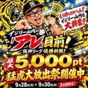 ヒメ日記 2026/09/30 16:01 投稿 みさと 奥鉄オクテツ大阪