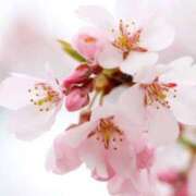 ちあき 初めまして😊 ミセス ファースト -お姉さん・若妻専門店-