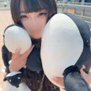 ナツキ 昨日のお礼? エピソード(品川)