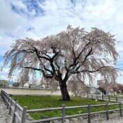 ヒメ日記 2025/05/07 16:19 投稿 まお 恋愛生欲情の扉