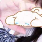 ヒメ日記 2025/04/12 20:05 投稿 うい 新宿本店 ぽちゃカワ女子専門店