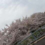 ヒメ日記 2026/04/06 22:43 投稿 らいか FAIRY Fukuoka Nakasu