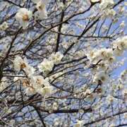 芽衣（めい） 出勤💕‪お待ちしております エッチな熟女(熊谷)