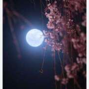 ヒメ日記 2026/03/14 23:56 投稿 芽衣（めい） エッチな熟女(熊谷)