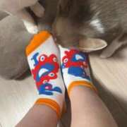 ヒメ日記 2025/10/14 15:21 投稿 水原　そら ナディア（奈良）