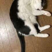 もも ももの宝物 完熟ばなな 横浜