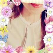 ヒメ日記 2025/07/19 11:44 投稿 仲田 ローズマリー大塚